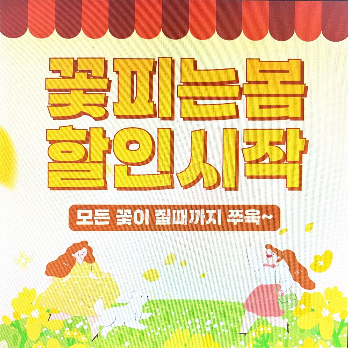 봄 맞이 할인!