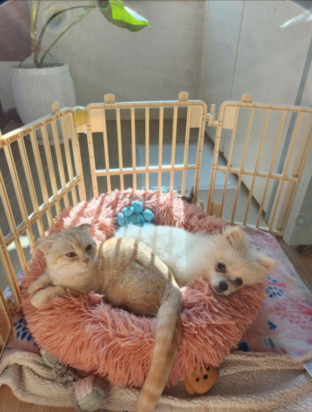 이상봉