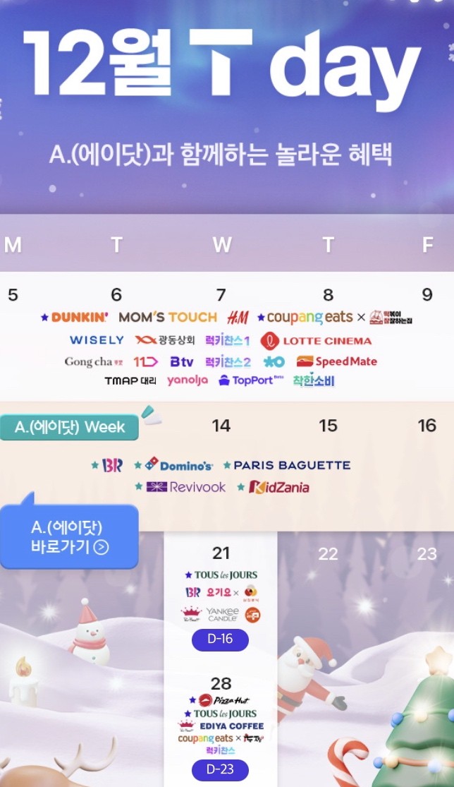 12월 T day