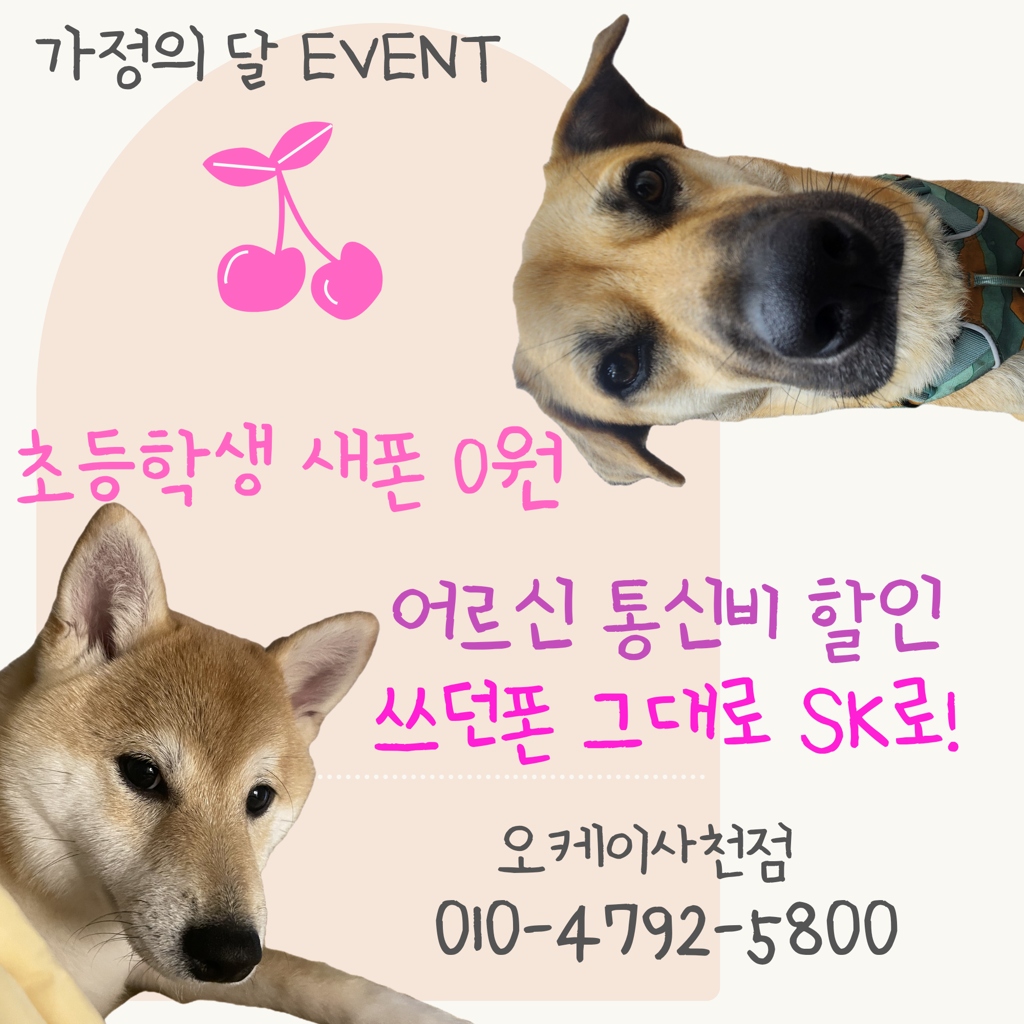 🩷가정의 달🩷