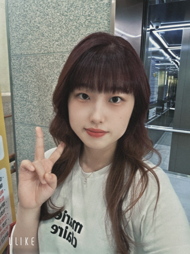 조아영